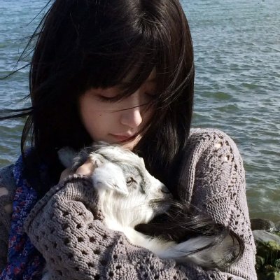 义犬奇行录